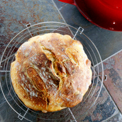 No-Knead French Bread