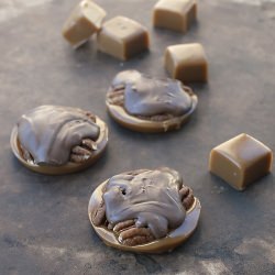 Homemade “Tortoises”