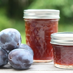 Damson Plum Jam