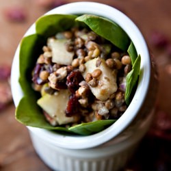 Maple Pear Lentil Salad