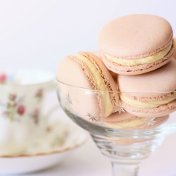 Vanilla Macarons