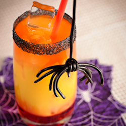 Halloween Spider Punch