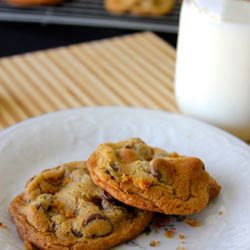 The Best Chocolate Chip Cookies