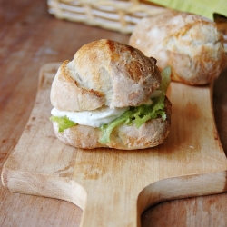 Homemade Sourdough Rolls