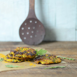 Pan Seared Spicy Pumpkin Cakes