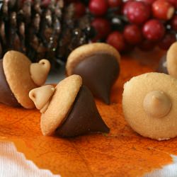 Chocolate PB Acorns