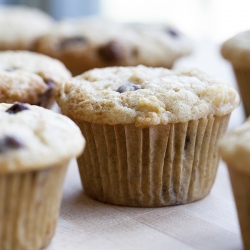 Chocolate Chip Apple Muffins