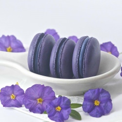 Violette Vanilla Bean Macarons