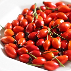 Rose Hip Syrup