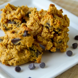 Chocolate Chip Pumpkin Bites