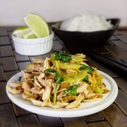 Shredded Chili Basil Chicken