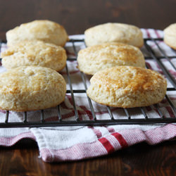 Powdermilk Biscuits