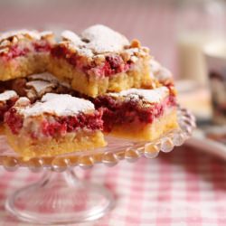 Raspberry & Coconut Bars