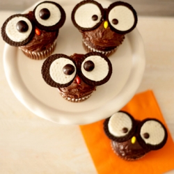 Owl Cupcakes