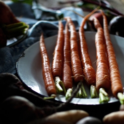 Roasted Winter Vegetables