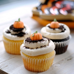 Pumpkin Patch Cupcakes