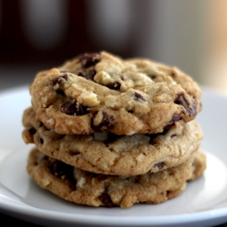 Chocolate Chip Macadamia Nut Cookie