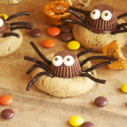 Chocolate Spider Cookies