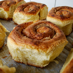 Ridiculous Cinnamon Rolls