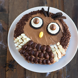 Owl Cake for Halloween