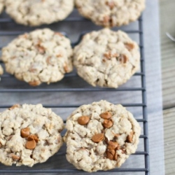 Cinnamon Chip Oatmeal Cookies