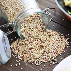 Quinoa Dishes