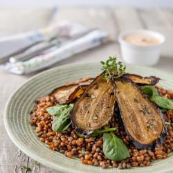 Wheat Berry & Puy Lentil Salad