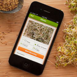 Sprouts App for iPhone