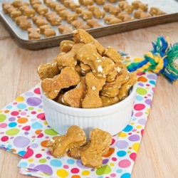 Peanut Butter Pumpkin Dog Treats