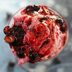 Frozen Yogurt with Blueberries