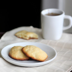 Ricotta Cookies