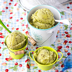 Kiwi & Honey Sorbet