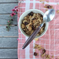 Crunchy Coconut Granola