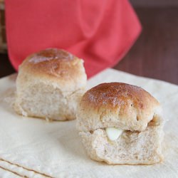 Honey Wheat Rolls