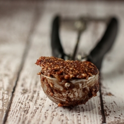 Double chocolate peppermint cookies