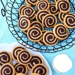 Chocolate Pinwheel Cookies