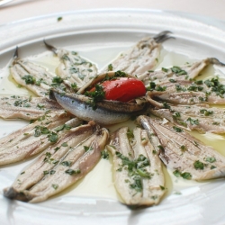 Anchovies