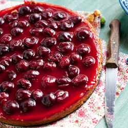 Sour Cherry Yogurt Cheesecake