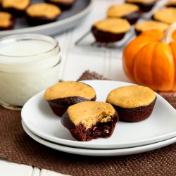 Pumpkin Cheesecake Brownie Bites