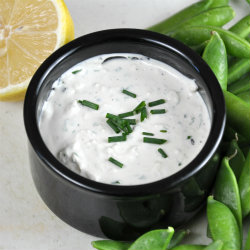 Gorgonzola Blue Cheese Yogurt Dip