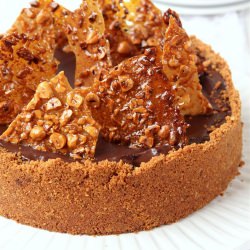 Hazelnut and Chocolate Cheesecake