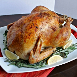 Salted Turkey with Citrus & Herbs