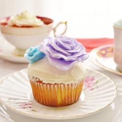 Dreamy Cupcakes