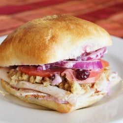 Thanksgiving Sandwich