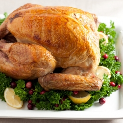 Roasted Turkey