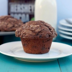 Chocolate Chocolate-Chip Muffins