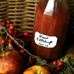 Hawthorn Berry Ketchup