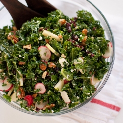 Kale Salad with Apple & Cranberries