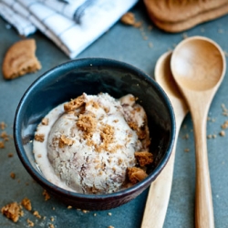 Cookie Butter Ice Cream w/ Nutella