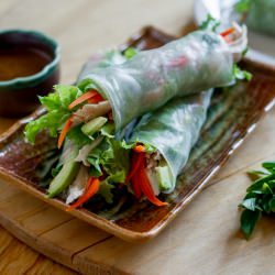 Turkey Avocado Spring Rolls